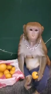 🥹
