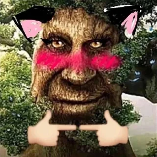 🐱