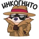 😎