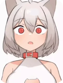 🙀