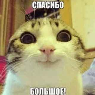☺️