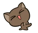🐱