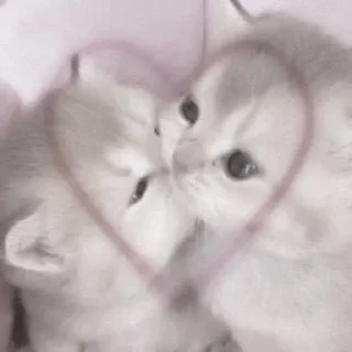 ⭐️