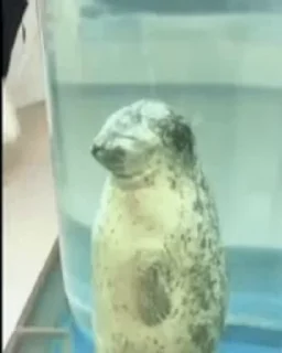😀