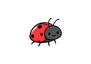 🐞