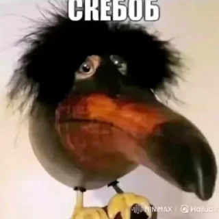 👮‍♂️