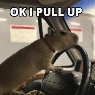 😎
