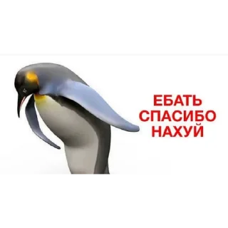 🐧