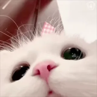 🙃