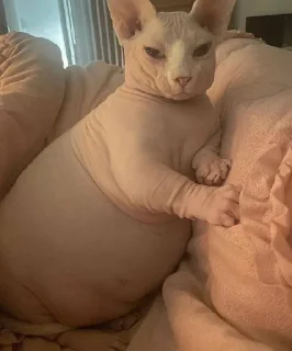 🤨