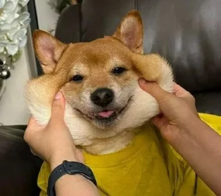 💓