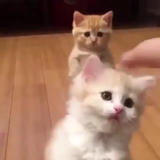 😅