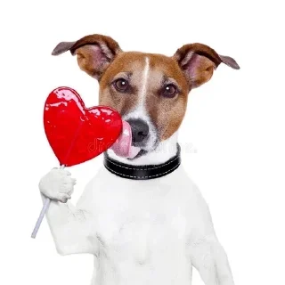 ❤️