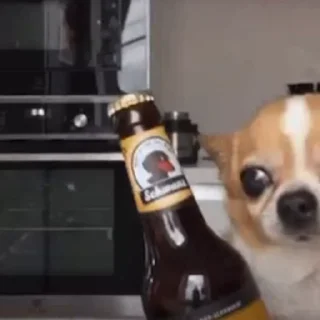 🐾