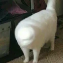 😐