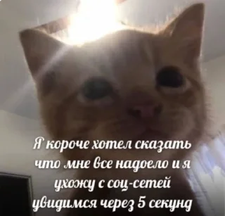 😵