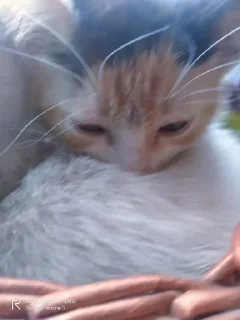 😴