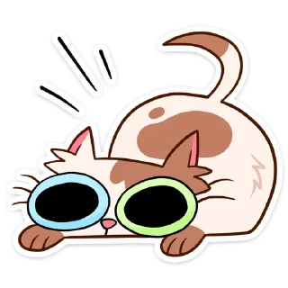 😼