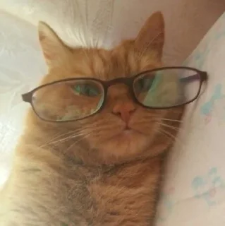 🤓