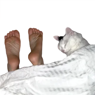 💤