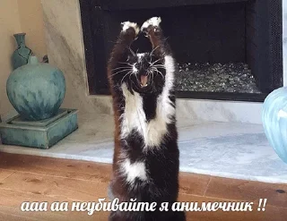 😱