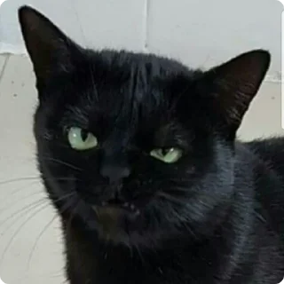 😠
