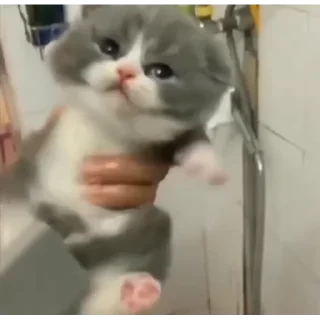 😡