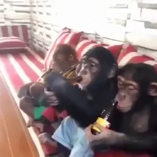 🍺