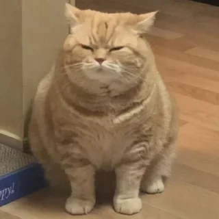 🤯