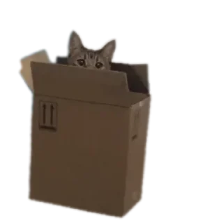 🟩