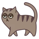 🐈