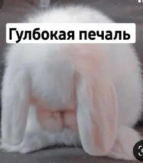 😭