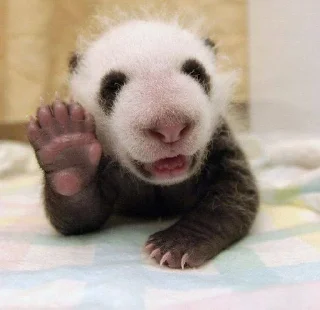 👋