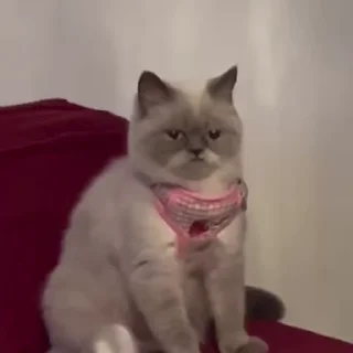 🤨
