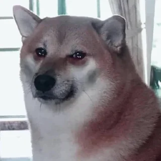 😢