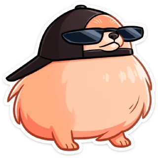 😎