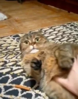 😐