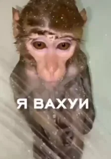 😱