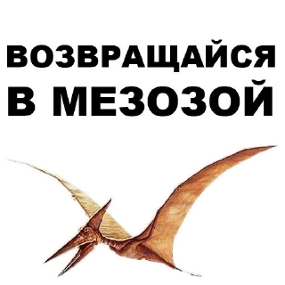 ✋️