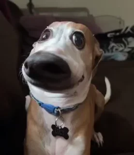 😐