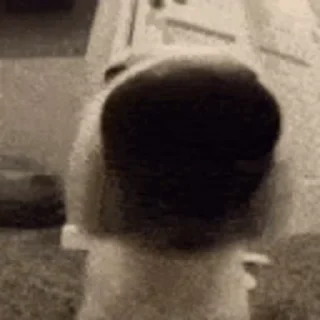 😍