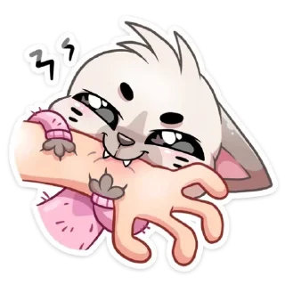 ✝