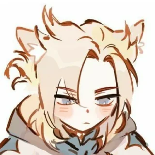 😽