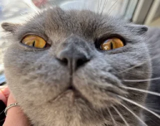 😳