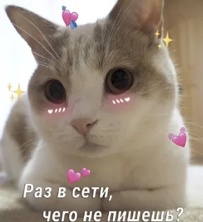 🙁