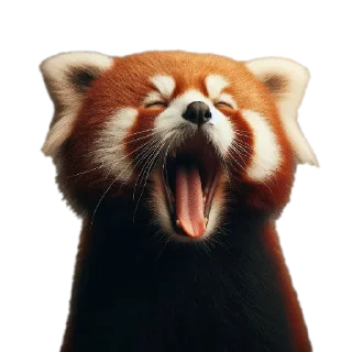 🥱