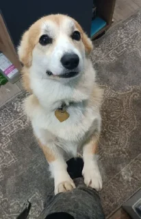 🌟