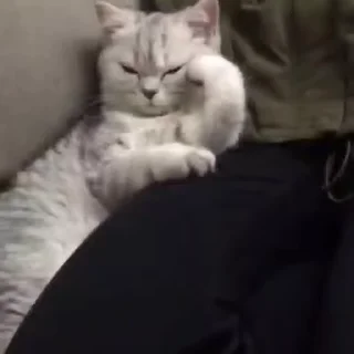 💕