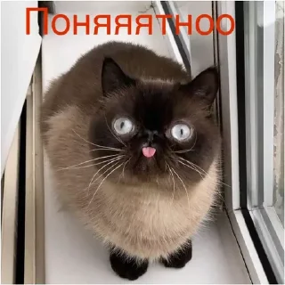 👍