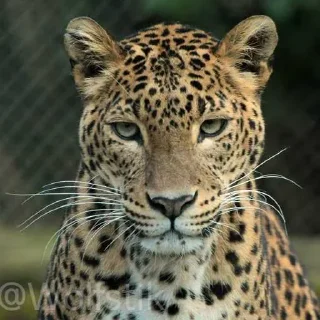 😐